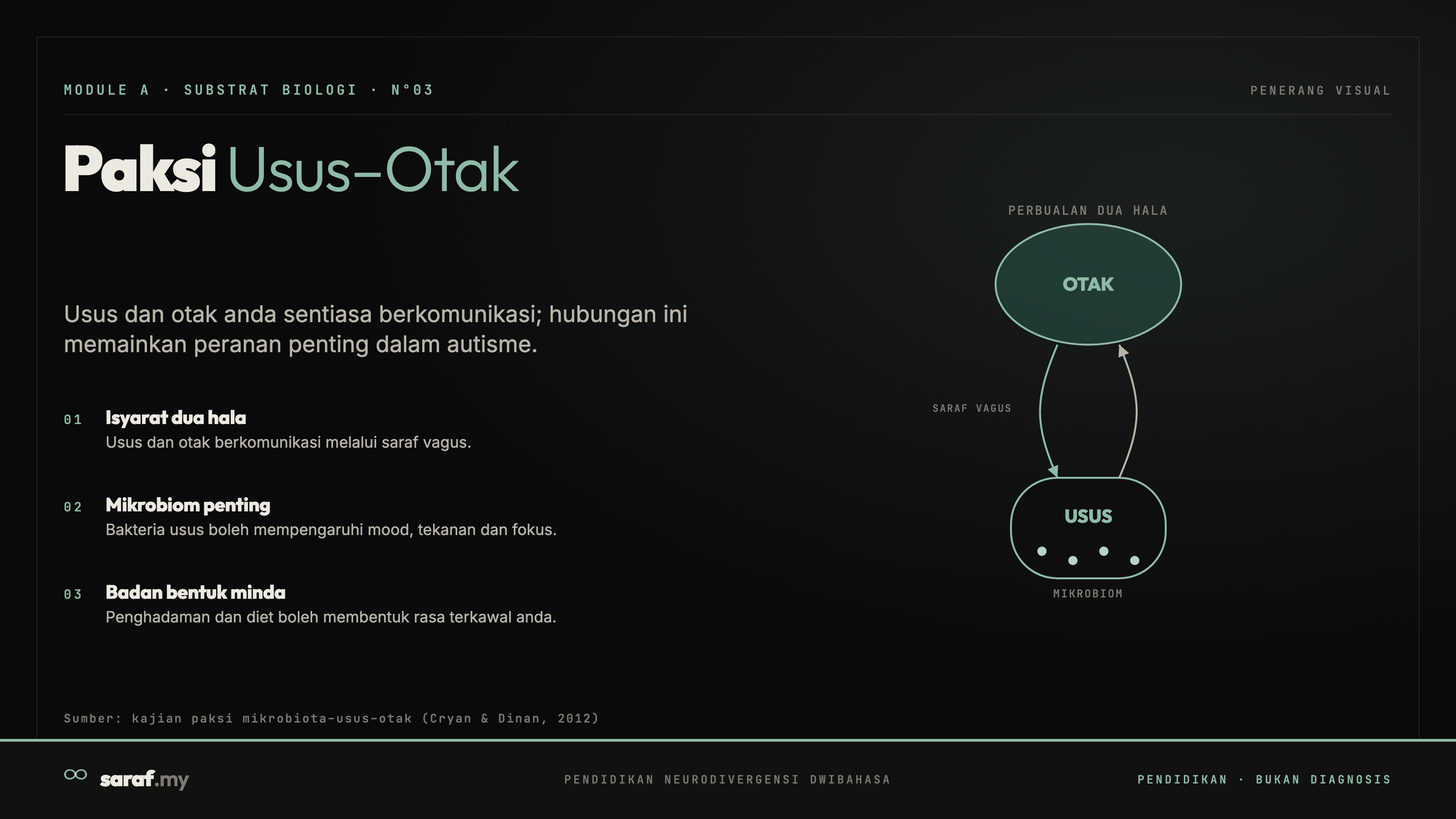 Gut-Brain Axis — Infografik