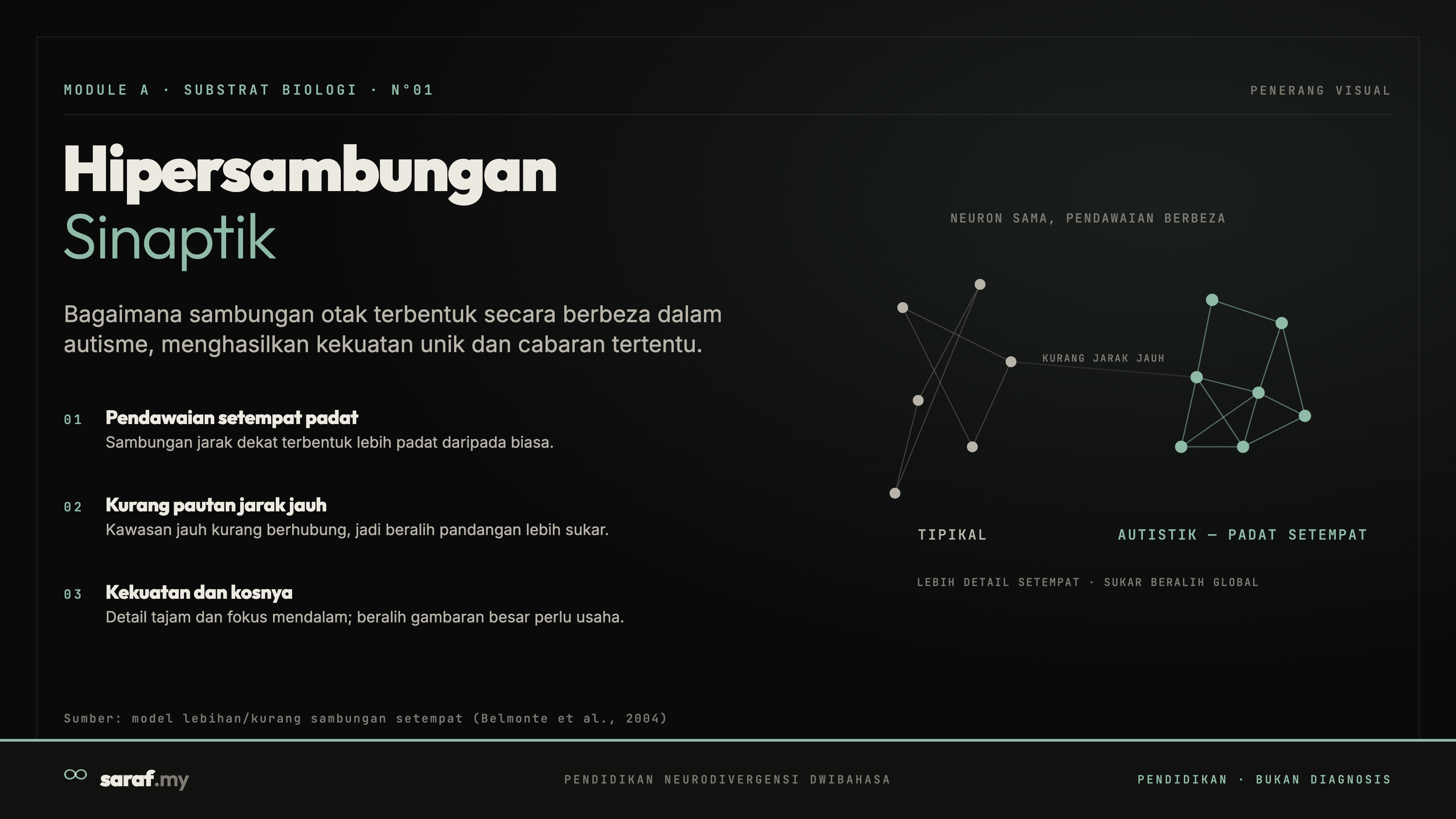 Synaptic Hyper-Connectivity — Infografik