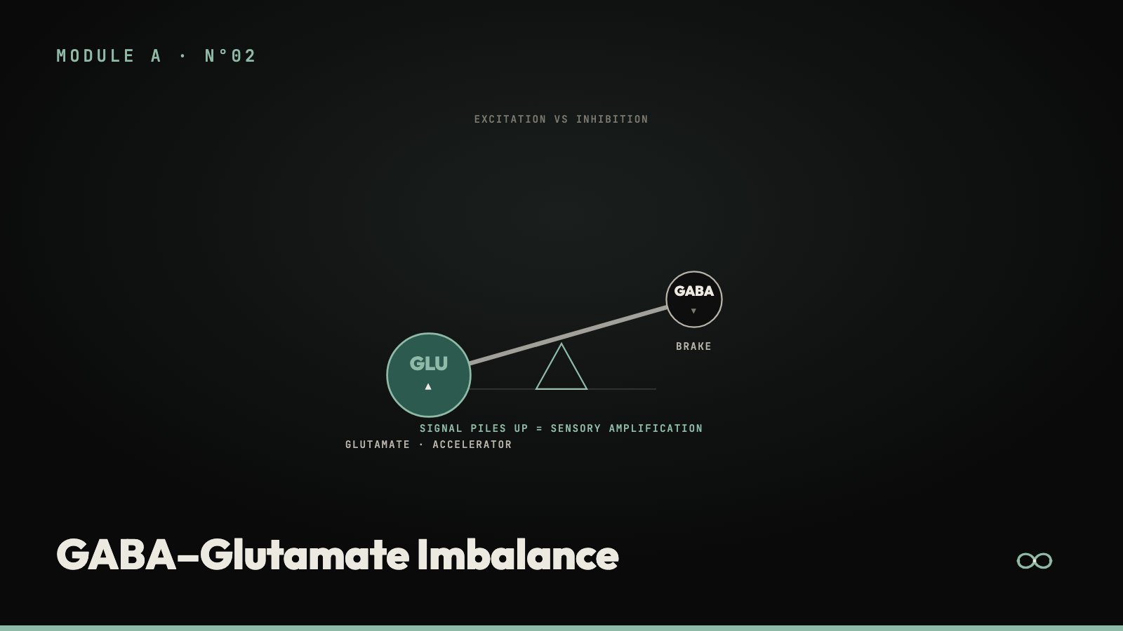 GABA/Glutamate Imbalance