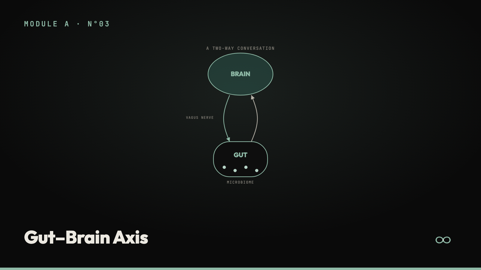 Gut-Brain Axis