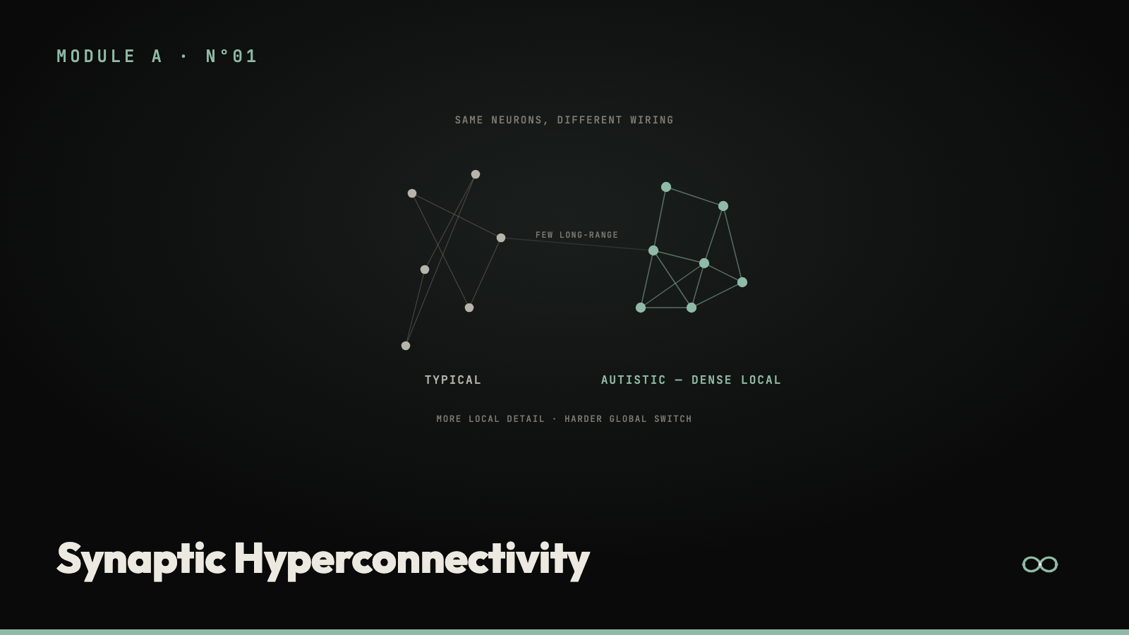 Synaptic Hyper-Connectivity